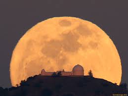 moonrise是什么意思