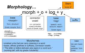 morphology是什么意思
