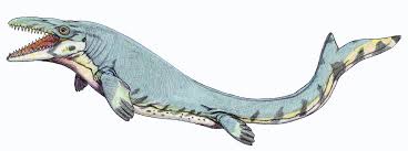 mosasaurus是什么意思