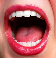 mouth是什么意思
