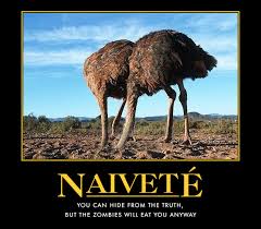 naivete是什么意思