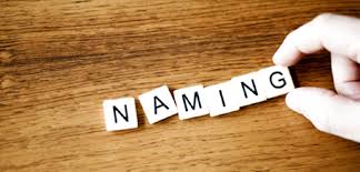 naming是什么意思