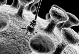nanotechnology是什么意思