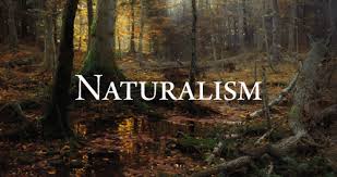 naturalistic是什么意思