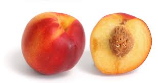 nectarine是什么意思