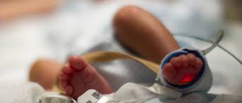 neonatology是什么意思