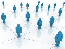 network是什么意思
