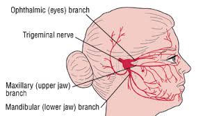neuralgia是什么意思
