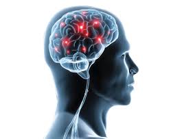neurological是什么意思