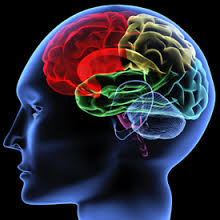 neurologically是什么意思