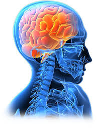 neurosurgeon是什么意思