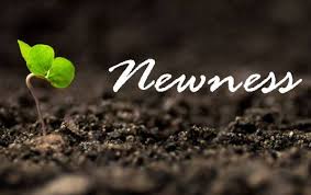 newness是什么意思