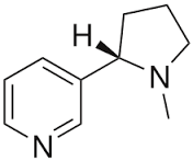 nicotine是什么意思