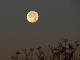 nigh是什么意思