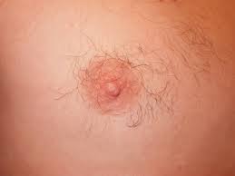 nipple是什么意思