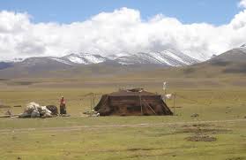 nomadic是什么意思
