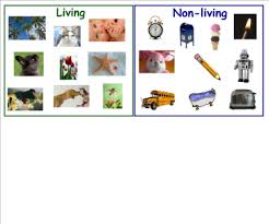 nonliving是什么意思