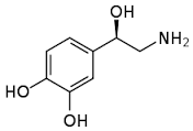 norepinephrine是什么意思