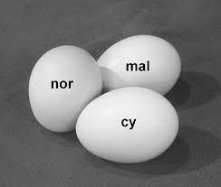 normalcy是什么意思