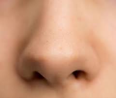 nose是什么意思