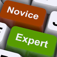 novice是什么意思