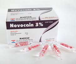 novocain是什么意思