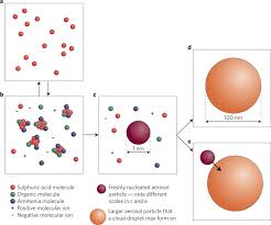 nucleation是什么意思
