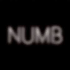 numb是什么意思