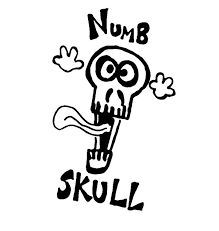 numbskull是什么意思