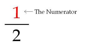 numerator是什么意思