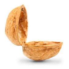 nutshell是什么意思