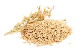 oat是什么意思