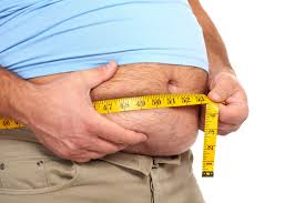 obesity是什么意思