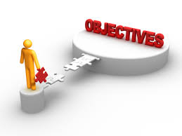 objective是什么意思