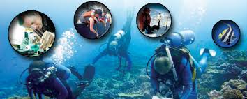 oceanography是什么意思