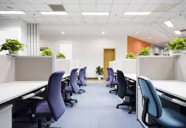 office是什么意思