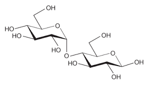 oligosaccharide是什么意思