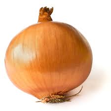 onion是什么意思