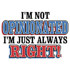 opinionated是什么意思