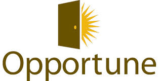 opportune是什么意思