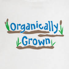 organically是什么意思
