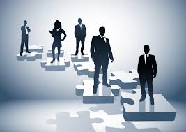 organization是什么意思
