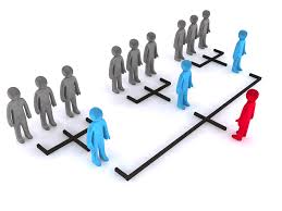 organizational是什么意思