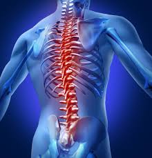 orthopedics是什么意思