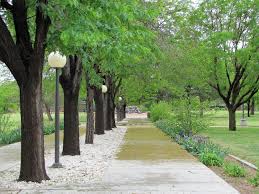 outside是什么意思