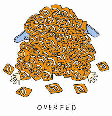 overfeed是什么意思