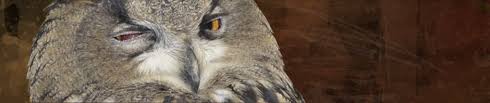 owlish是什么意思