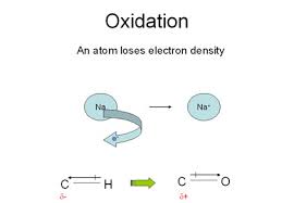 oxidation是什么意思