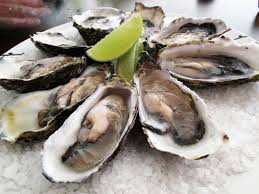oyster是什么意思