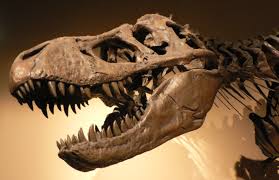 paleontological是什么意思